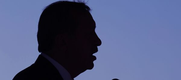 Predsednik Turske Redžep Tajip Erdogan - Sputnik Srbija