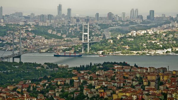 Поглед на Истанбул и мореуз Босфор - Sputnik Србија
