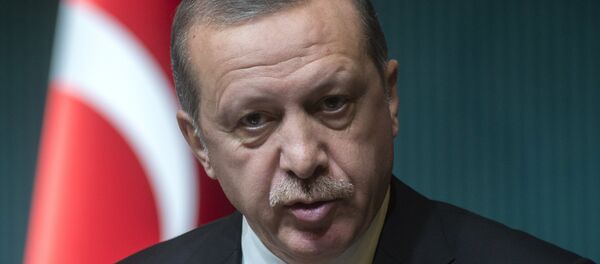 Председник Турске Реџеп Тајип Ердоган - Sputnik Србија