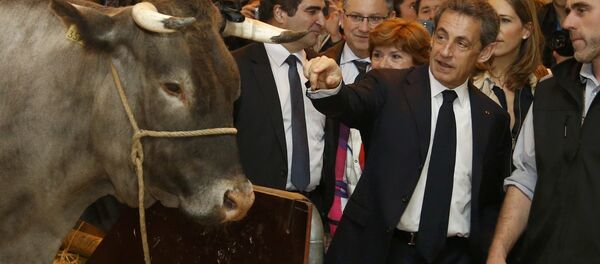 Bivši francuski predsednik Nikola Sarkozi na Međunarodnom sajmu poljoprivrede u Parizu Bivši francuski predsednik Nikola Sarkozi na Međunarodnom sajmu poljoprivrede u Parizu - Sputnik Srbija