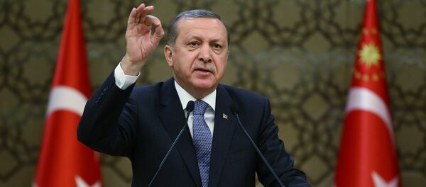 Predsednik Turske Redžep Tajip Erdogan Predsednik Turske Redžep Tajip Erdogan - Sputnik Srbija