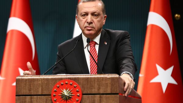 Председник Турске Реџеп Тајип Ердоган - Sputnik Србија