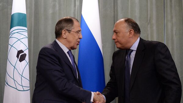 Ministri inostranih poslova Rusije i Egipta Sergej Lavrov i Sameh Šukri - Sputnik Srbija