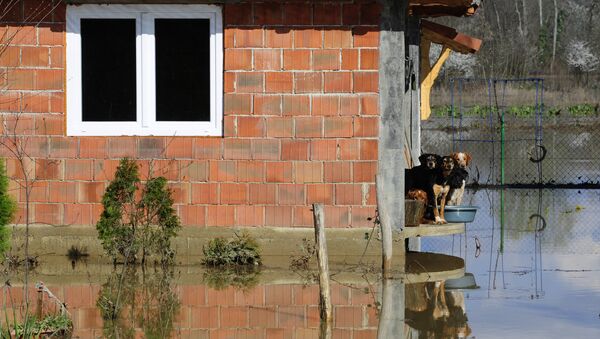 Поплављене куће у насељу Пољане у Општини Обреновац - Sputnik Србија