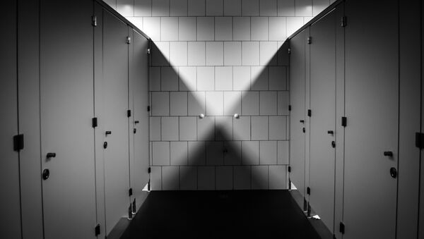 Javni toalet, ilustracija - Sputnik Srbija