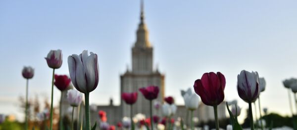 Московски државни универзитет Ломоносов - Sputnik Србија