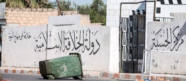 Raka, Sirija Raka, Sirija - Sputnik Srbija