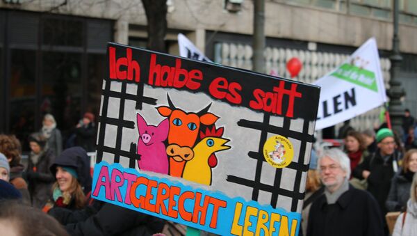 Transparent „Siti smo vas“ na demostracijama protiv TTIP u Nemačkoj - Sputnik Srbija