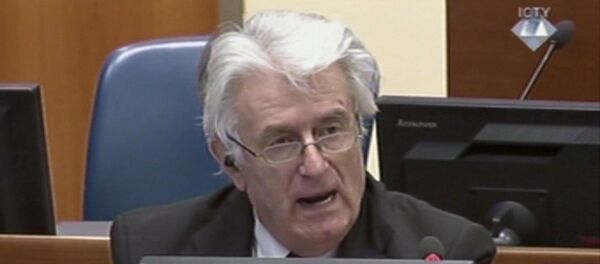 Radovan Karadžić - Sputnik Srbija