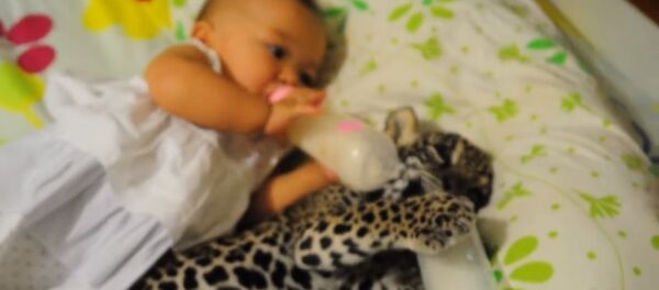 Беба и јагуар заједно пију млеко - Sputnik Србија