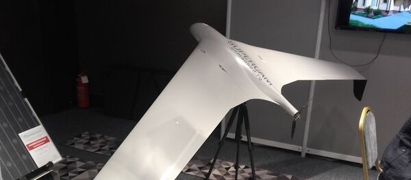 Дрон - Sputnik Србија