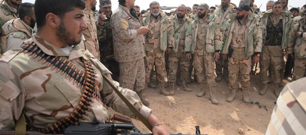 Соколови пустиње у близини сиријског града Палмире Соколови пустиње у близини сиријског града Палмире - Sputnik Србија