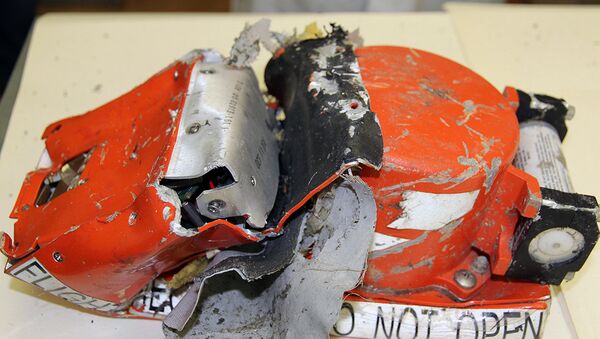 Црна кутија авиона Боинг-737-800 који је пао на аеродрому Ростов на Дону. - Sputnik Србија