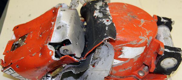 Crna kutija aviona Boing-737-800 koji je pao na aerodromu Rostov na Donu. - Sputnik Srbija