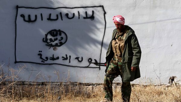 Kurdski borac prolazi pored zida na kojem je nacrtana zastava DAEŠ-a  (Islamske države) - Sputnik Srbija