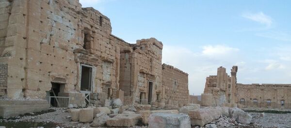 Палмира Палмира - Sputnik Србија