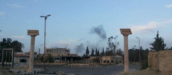 Palmira Palmira - Sputnik Srbija