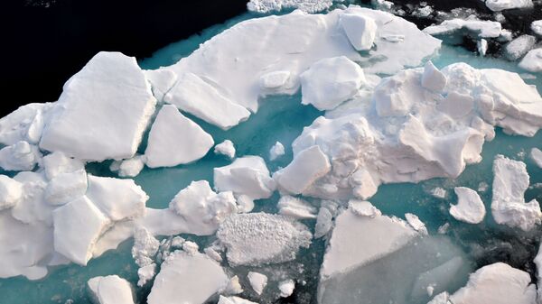 Глыбы льда в Северном Ледовитом океане - Sputnik Србија