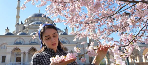 Цветање трешње у Грозном - Sputnik Србија