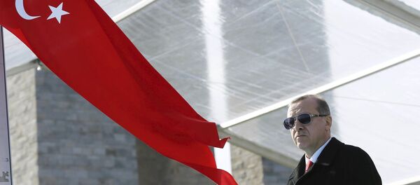 Predsednik Turske Redžep Tajip Erdogan - Sputnik Srbija