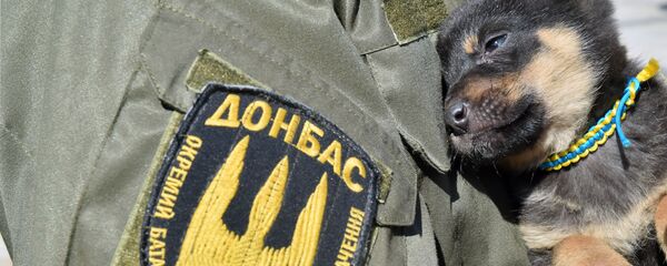 Донбас - Sputnik Србија