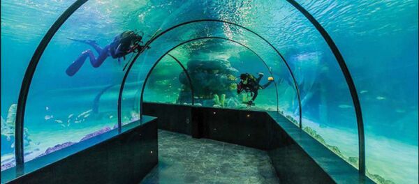 Najveći akvarijum u Iranu otvoren u Isfahanu. - Sputnik Srbija