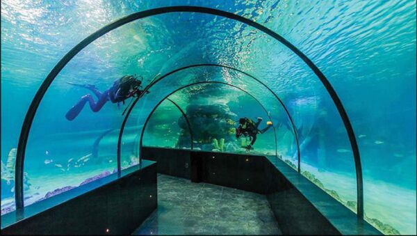 Najveći akvarijum u Iranu otvoren u Isfahanu. - Sputnik Srbija