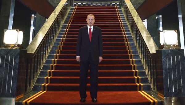 Turski predsednik Redžep Tajip Erdogan pozira u Ak Saraju (Beloj palati) novoj predesdničkoj rezidenciji u Ankari. - Sputnik Srbija