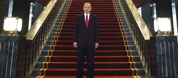 Turski predsednik Redžep Tajip Erdogan pozira u Ak Saraju (Beloj palati) novoj predesdničkoj rezidenciji u Ankari. - Sputnik Srbija