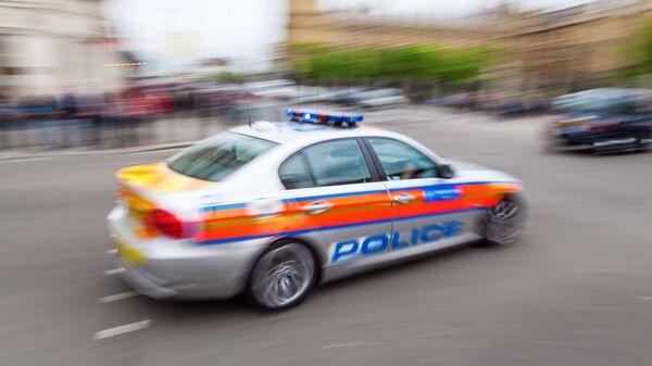 Полицијски аутомобил у Лондону - Sputnik Србија