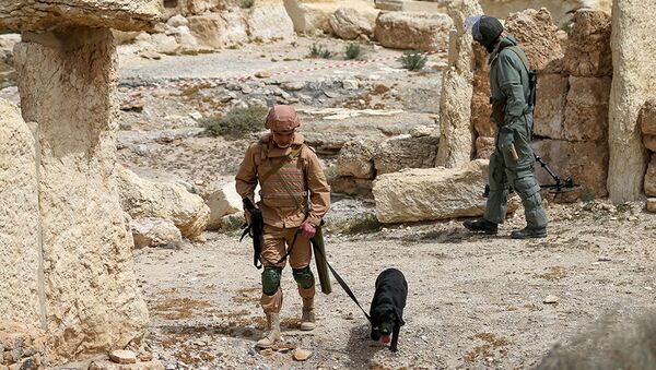 Pripadnici ruskog Ministarstva odbrane uklanjuju mine u istorijskom delu Palmire. - Sputnik Srbija