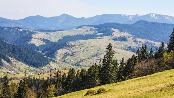 Pogled na planinu u blizini jezera Sinevir u Zakarpatskoj oblasti - Sputnik Srbija