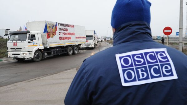 Pripadnik OEBS-a nadgleda kolonu 50. konvoja humanitarne pomoći stanovnicima oblasti Donjecka i Luganska - Sputnik Srbija