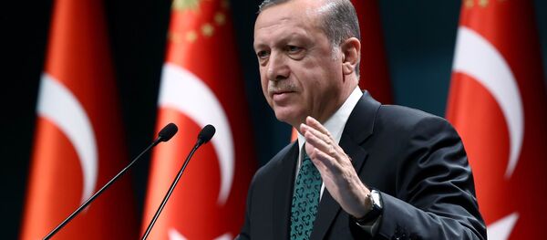 Председник Турске Реџеп Тајип Ердоган - Sputnik Србија