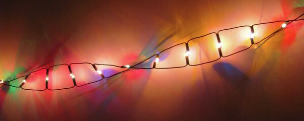 ДНК ДНК - Sputnik Србија