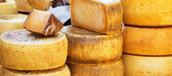Различите врсте сира - Sputnik Србија