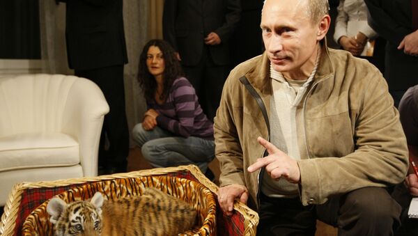 Vladimir Putin sa malim tigrom - Sputnik Srbija