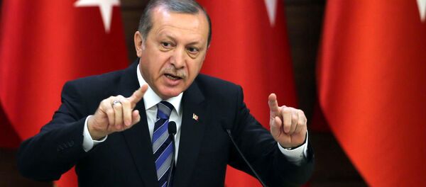 Председник Турске Реџеп Тајип Ердоган - Sputnik Србија
