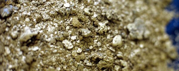 Zlatno grumenje Zlatno grumenje - Sputnik Srbija