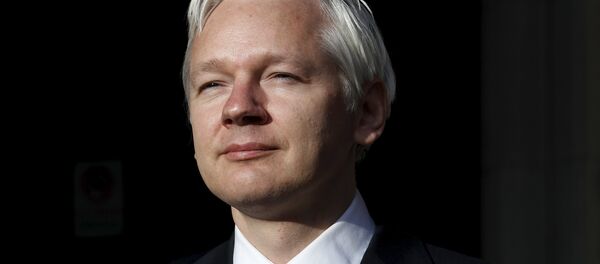 Osnivač Vikiliksa Džulijan Asanž - Sputnik Srbija