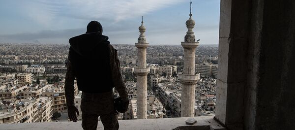 Vojnik sirijske armije u Alepu - Sputnik Srbija