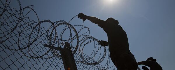 Бодљикава жица Бодљикава жица - Sputnik Србија