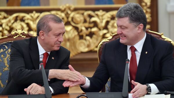 Predsednik Turske Redžep Tajip Erdogan i predsednik Ukrajine Petro Porošenko - Sputnik Srbija
