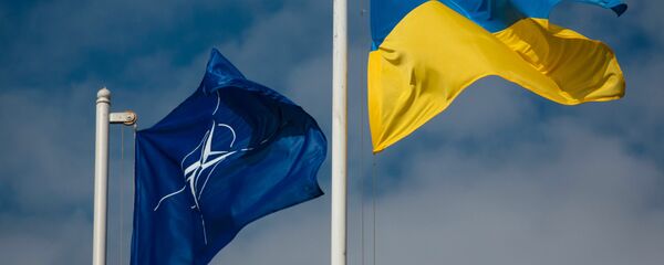 Zastave Ukrajine i NATO-a - Sputnik Srbija