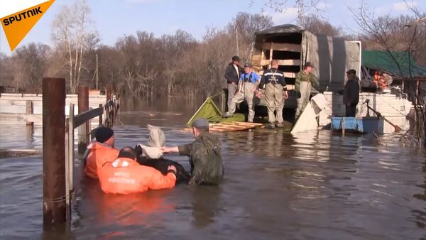 After the Flood: 11 Ostriches Rescued in Russia’s Ural after Severe Overflow - Sputnik Srbija