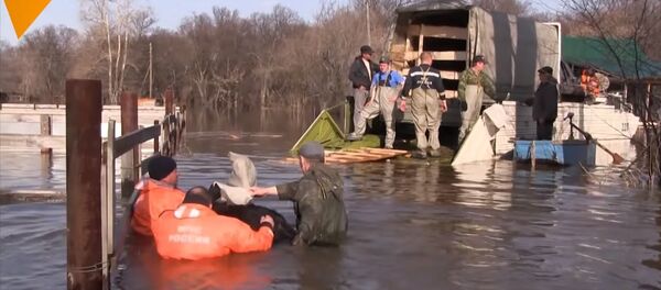 After the Flood: 11 Ostriches Rescued in Russia’s Ural after Severe Overflow After the Flood: 11 Ostriches Rescued in Russia’s Ural after Severe Overflow - Sputnik Srbija