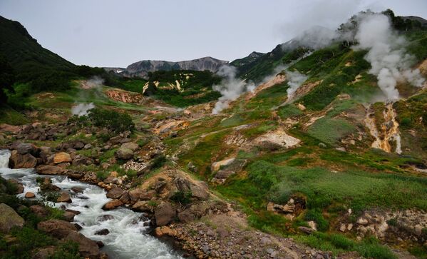 Долина гејзира у Кроноцком националном парку на Камчатки. - Sputnik Србија