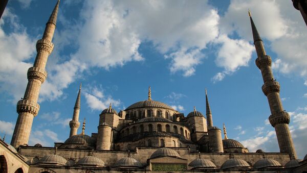 Џамија у Истанбулу - Sputnik Србија