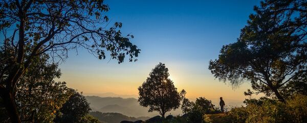 Шума Шума - Sputnik Србија