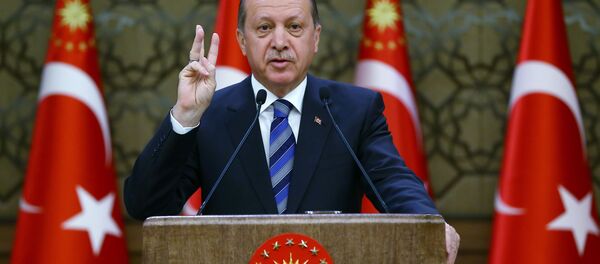 Председник Турске Реџеп Тајип Ердоган Председник Турске Реџеп Тајип Ердоган - Sputnik Србија